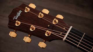 A detail photo of a Taylor Legacy 514CD Grand Auditorium acoustic guitar