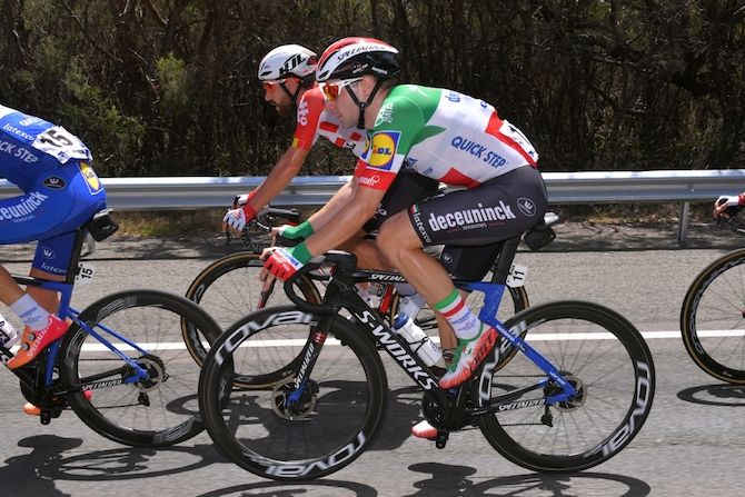 Eventual winner Elia Viviani (Deceuninck-QuickStep) conserves his energy in the bunch at the 2019 Cadel Evans Great Ocean Road Race