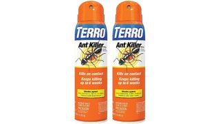 TERRO T401SR ant killer spray