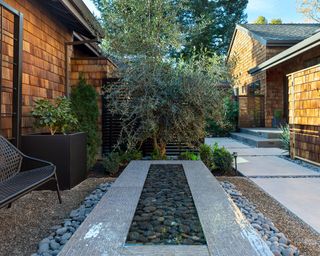 Small back yard landscaping ideas featuring a long rectangular water feature edged in gravel, with a small olive tree at the end.
