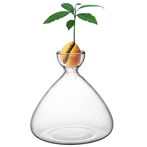 Moonoom Avocado Seed Starter Vase,avocado Vase for Growing,avocado Seed Growing Kit Plant Glass With Avocado Stickers Gift for Gardening Lover