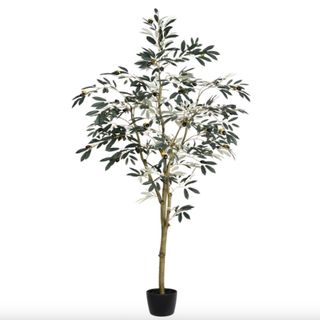 Faux Olive Tree Plant in Pot