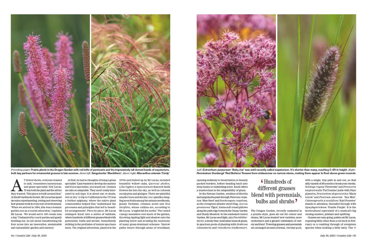 Magazine spreads 30 July 2025