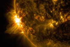 A massive X2.2 solar flare erupts off the left limb of the sun in this view captured by NASA's Solar Dynamics Observatory on June 10, 2014, at 7:41 a.m. EDT. 