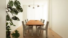 A potted monstera placed in the dining room 