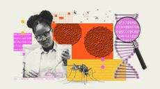 Photo collage illustration of a lab researcher, mosquitoes, DNA helix and West Nile viral cells