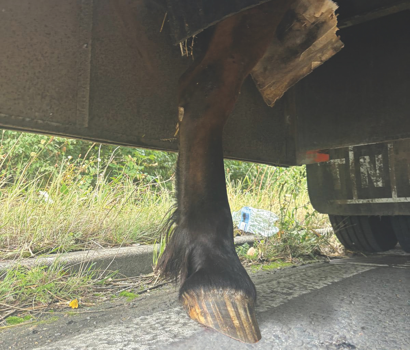Lorry1.jpg