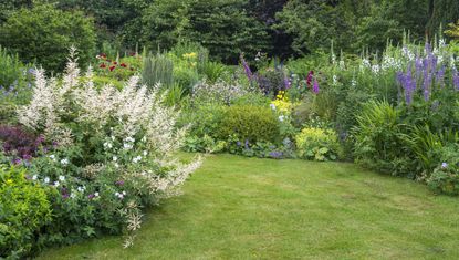 garden lawn surrounded by flower beds