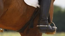 FEI dressage spurs