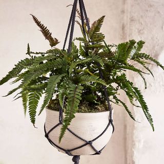 hanging planter Anthropologie