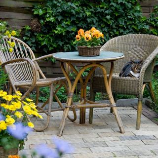 A pair of wicker chairs sit alongside a table in an English garden. A tabby cat sits in the chair on the right.