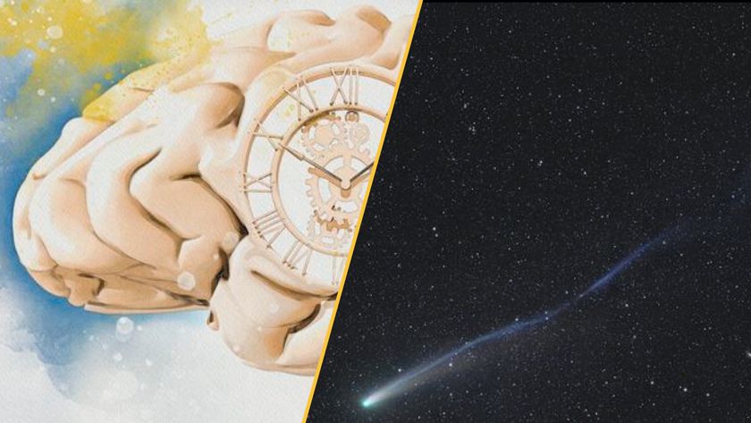 The human brain as a clock and the Comet Lemmon.