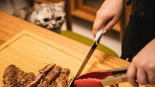 cat looking as human cuts steak