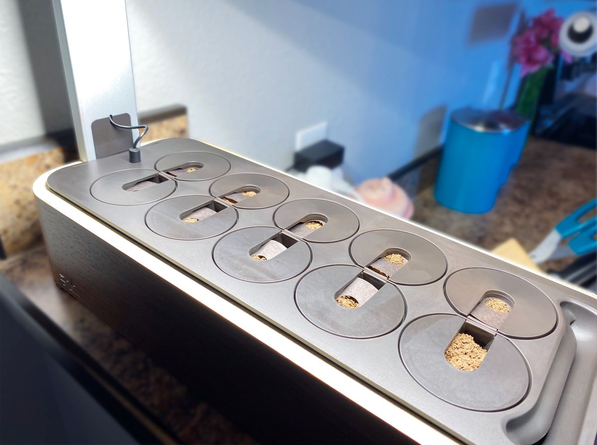 Edn Smallgarden Review pods planted