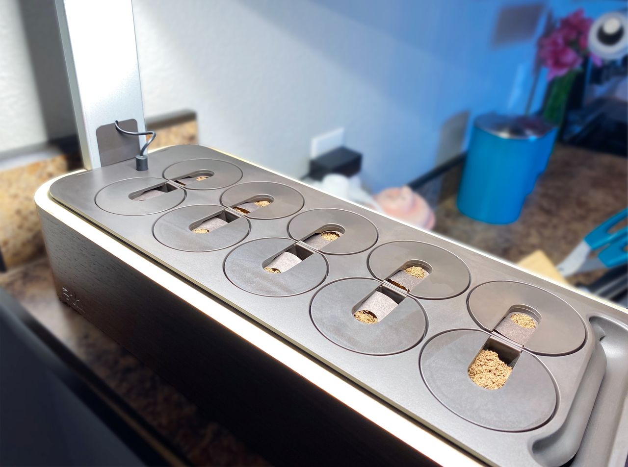Edn Smallgarden Review pods planted