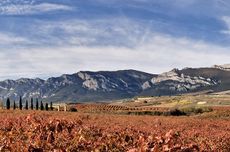 Joy of Terroir 2016