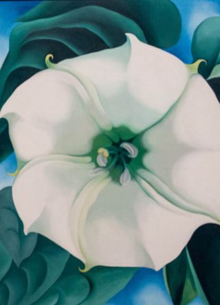 Jimson Weed by Georgia O'Keeffe