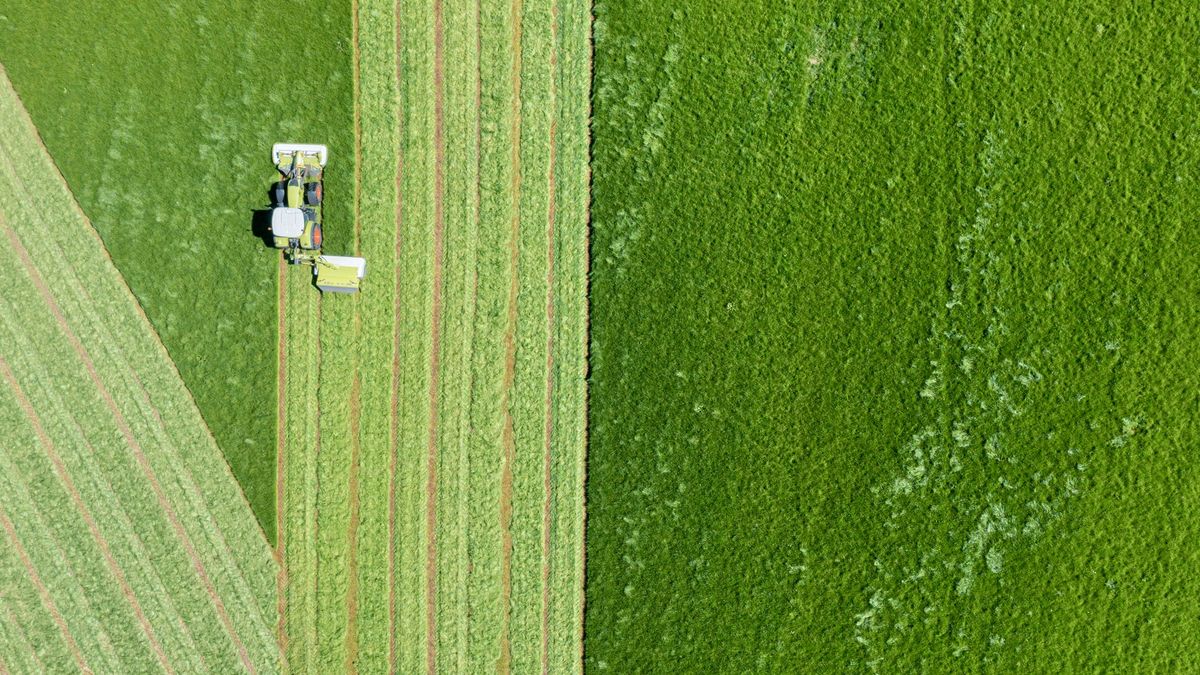 A tractor harvesting in Scotland