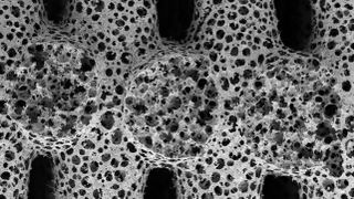 A microscopic view of Apheros' metal foam, showing the increased surface area and aerated structure.