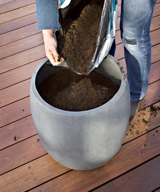 Filling a large planter with compost