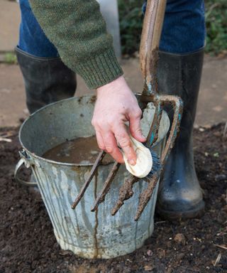 cleaning garden fork in a bucket of water