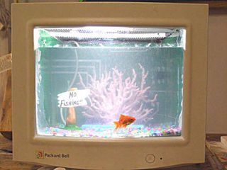 Aquarium