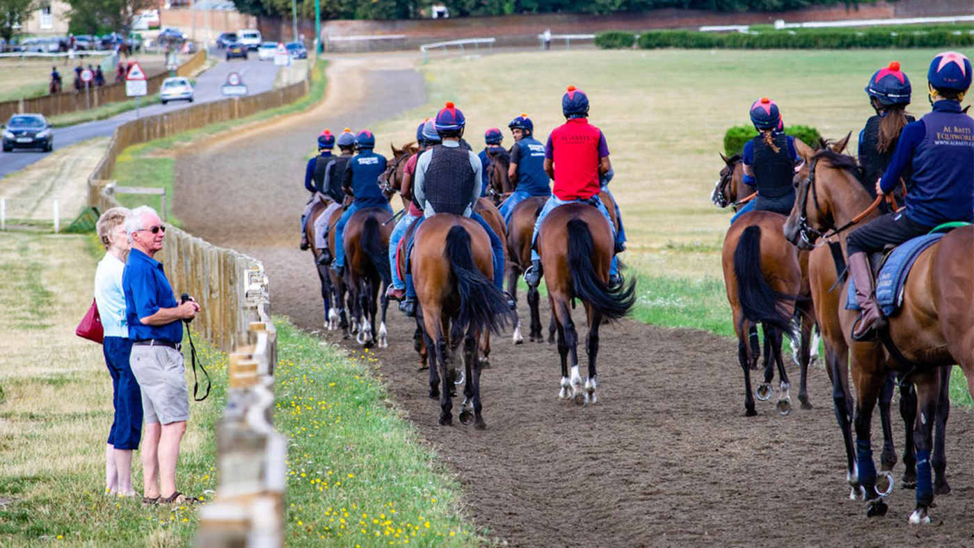 Horse experience days East