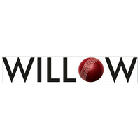 Big Bash live stream on Willow TV $10 per month