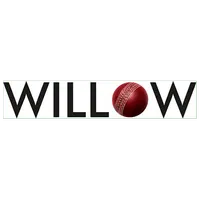 Big Bash live stream on Willow TV $10 per month