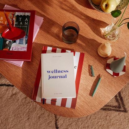 Best self care gifts: A wellness planner from Papier
