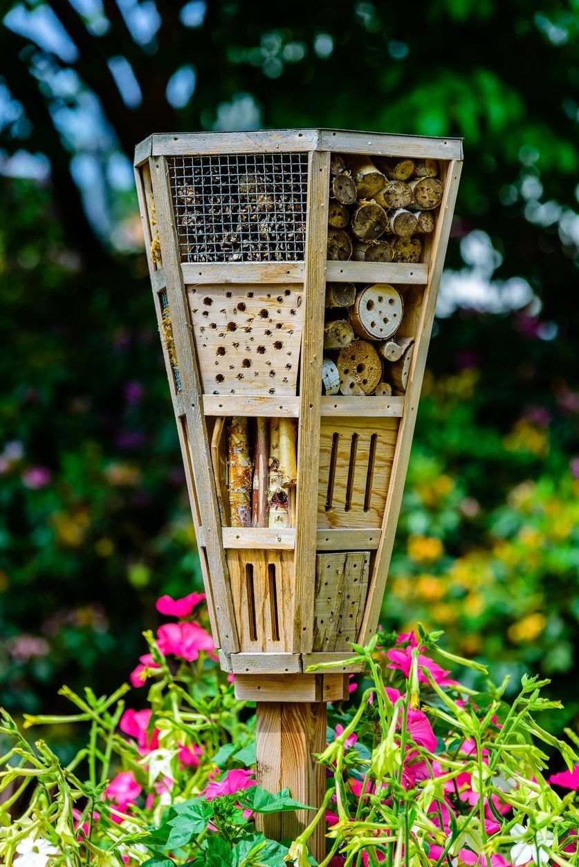 Wooden Bug Garden