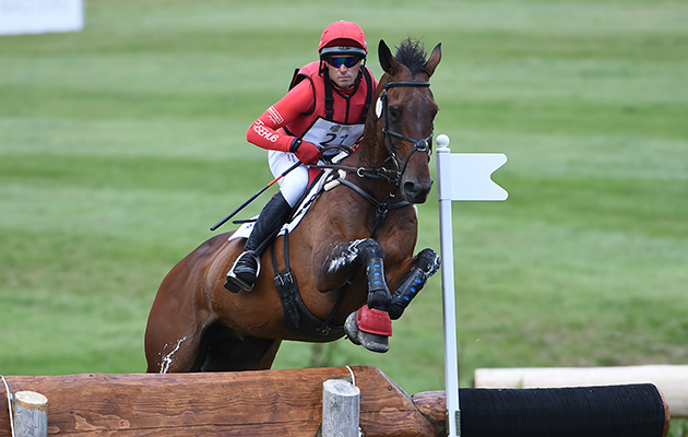 Blenheim ERM results Paul Tapner