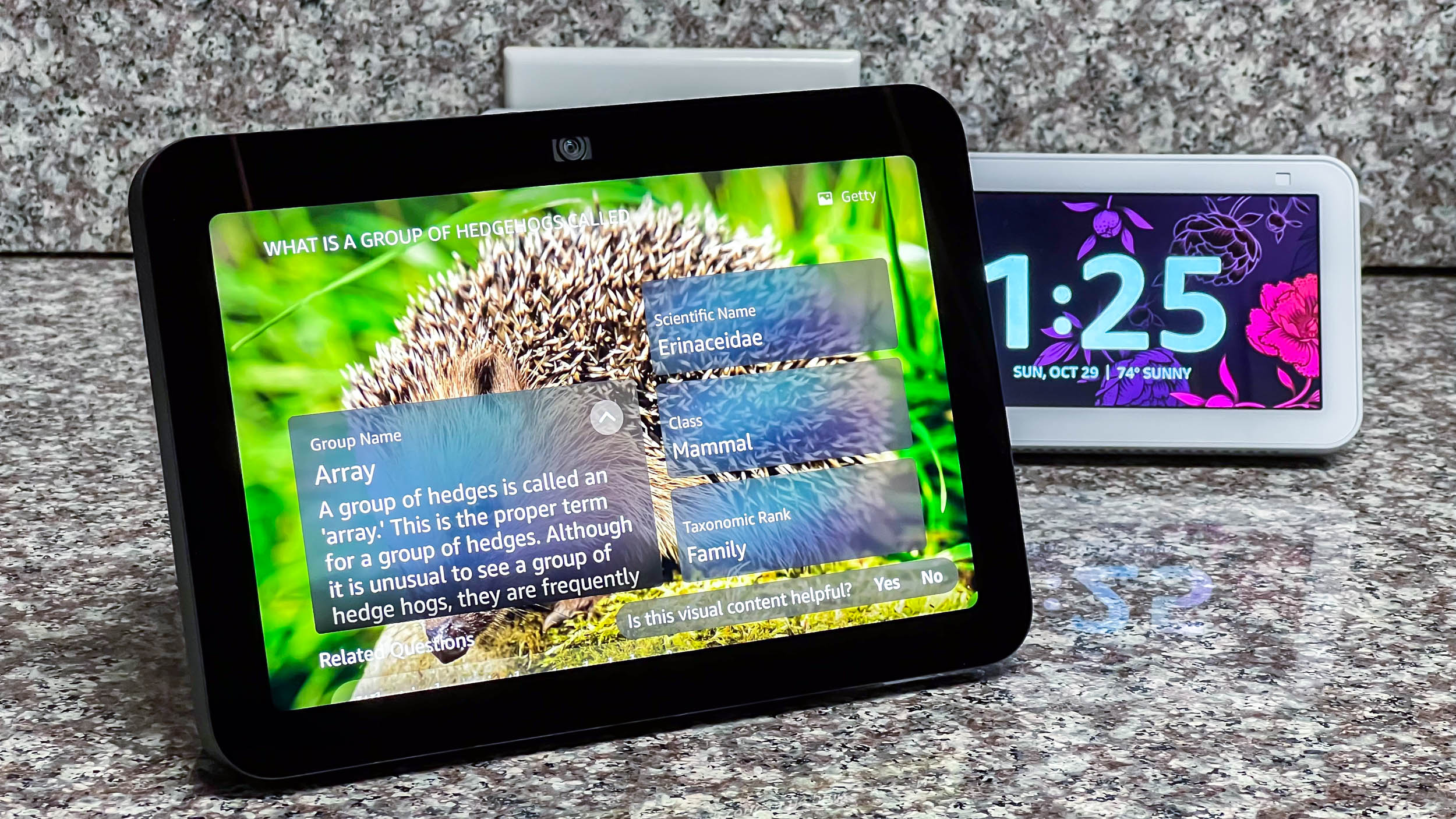 Amazon Echo Show 8 (3rd gen) in use by author