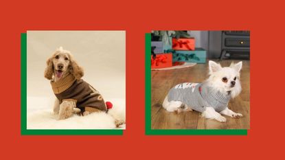 composite image of two christmas sweaters for dogs on a red background