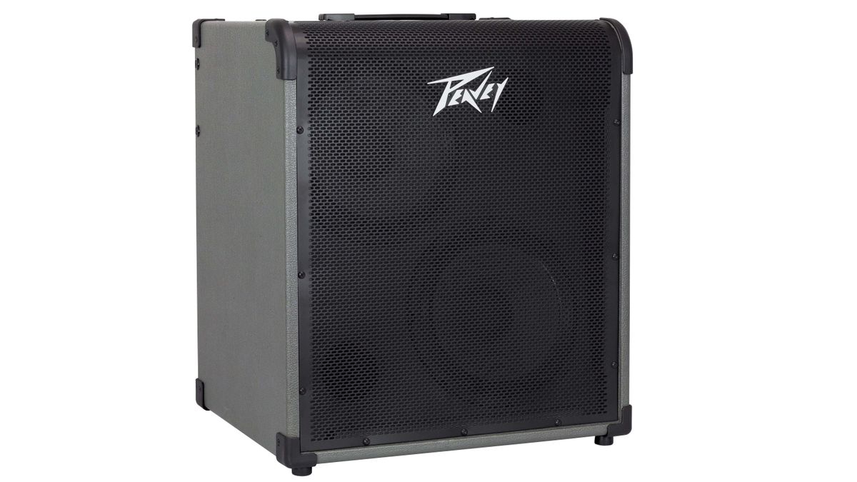 Peavey Max 300 bass amplifier