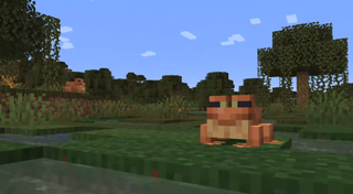 A frog in Minecraft