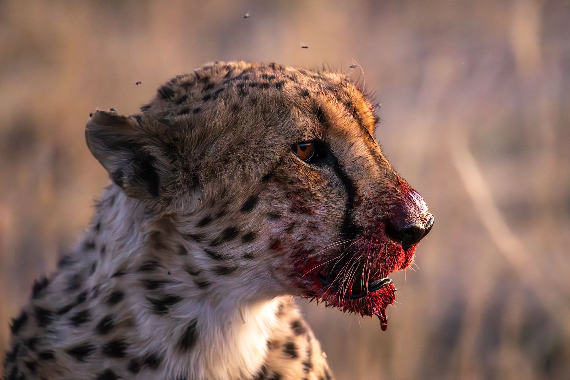 £10,000 in prizes – Entries open for London Camera Exchange Photographer of the Year 2026