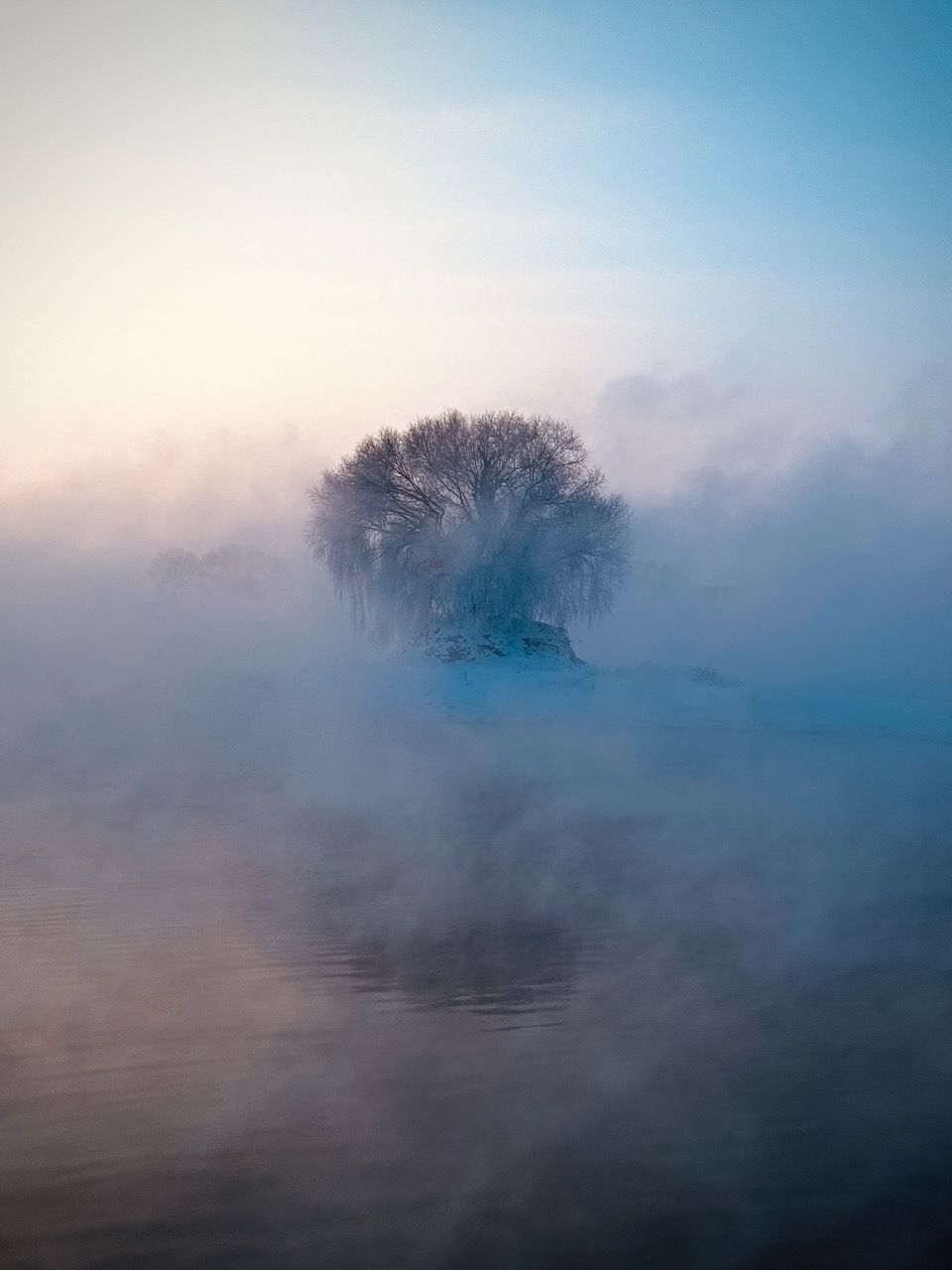 Photograph of a tree beyond a lake shrouded in early morning mist