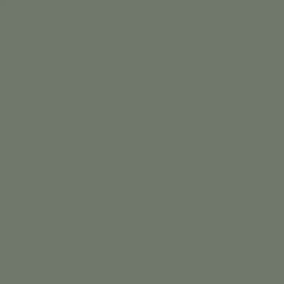 deep sage green paint by Crown