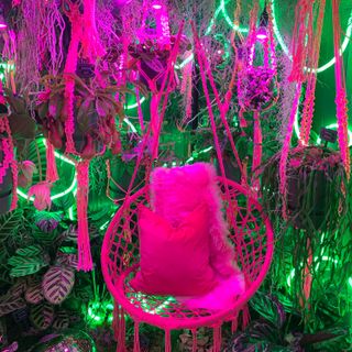 green with pink hanging chairs and plants in pots