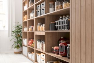 Close-up View Of Organised Pantry Items