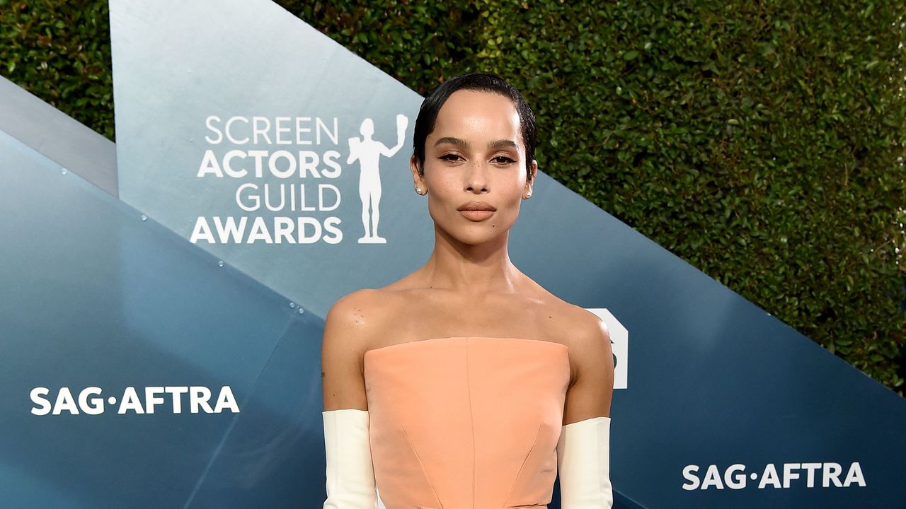 26th Annual Screen Actors Guild Awards - Arrivals