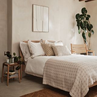 Rustic boho bedroom with plaster walls, textured bedding and large houseplant