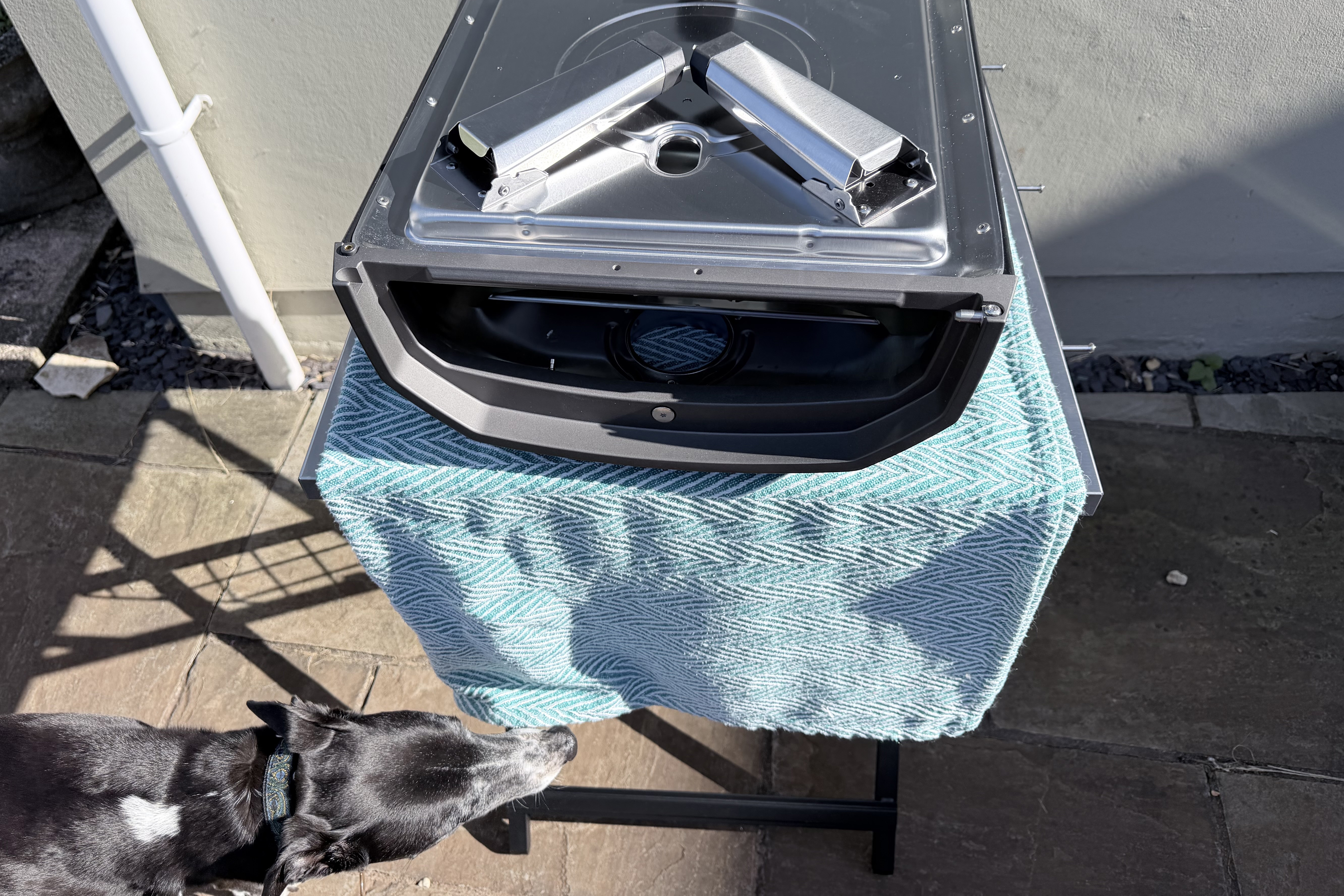 The Ooni Karu 2 being built, with a dog sniffing the pizza oven