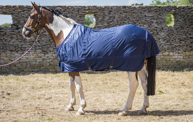 Back on Track Mesh Rug review