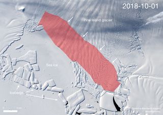 The area of the upcoming Pine Island Glacier is about 115 square miles (300 square kilometers).