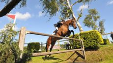 William Funnell and Mondriaan winning the Hickstead Derby in 2008