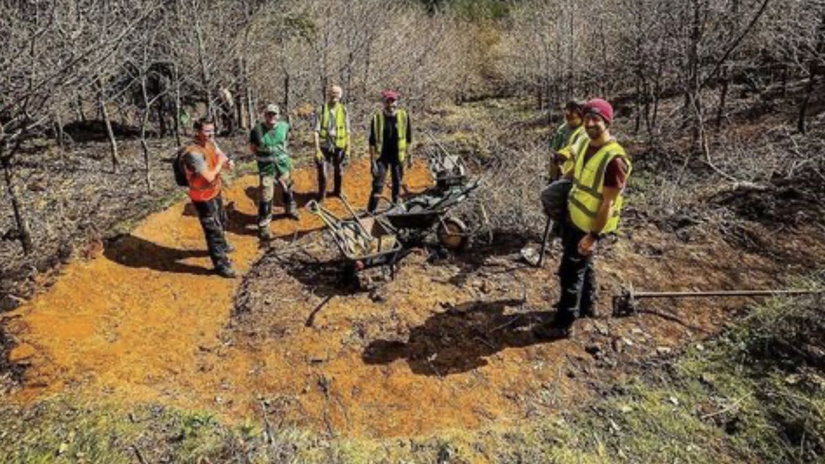 Trail building