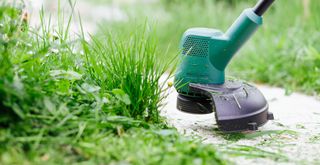 person using a grass trimmer to cut long grass