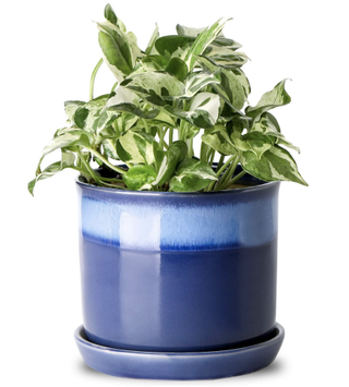 blue glazed planter